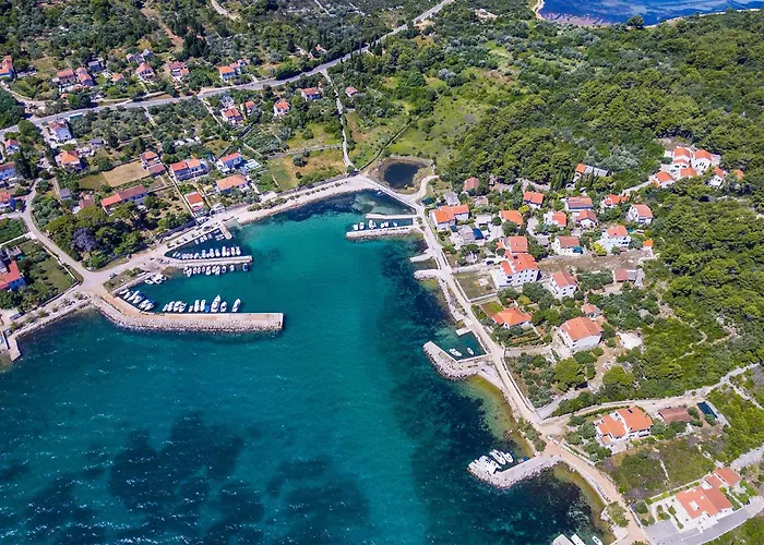 Ana Ždrelac